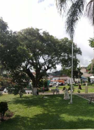 Praça Dr. Alcindo Cardoso de Paiva (Praça Matriz)